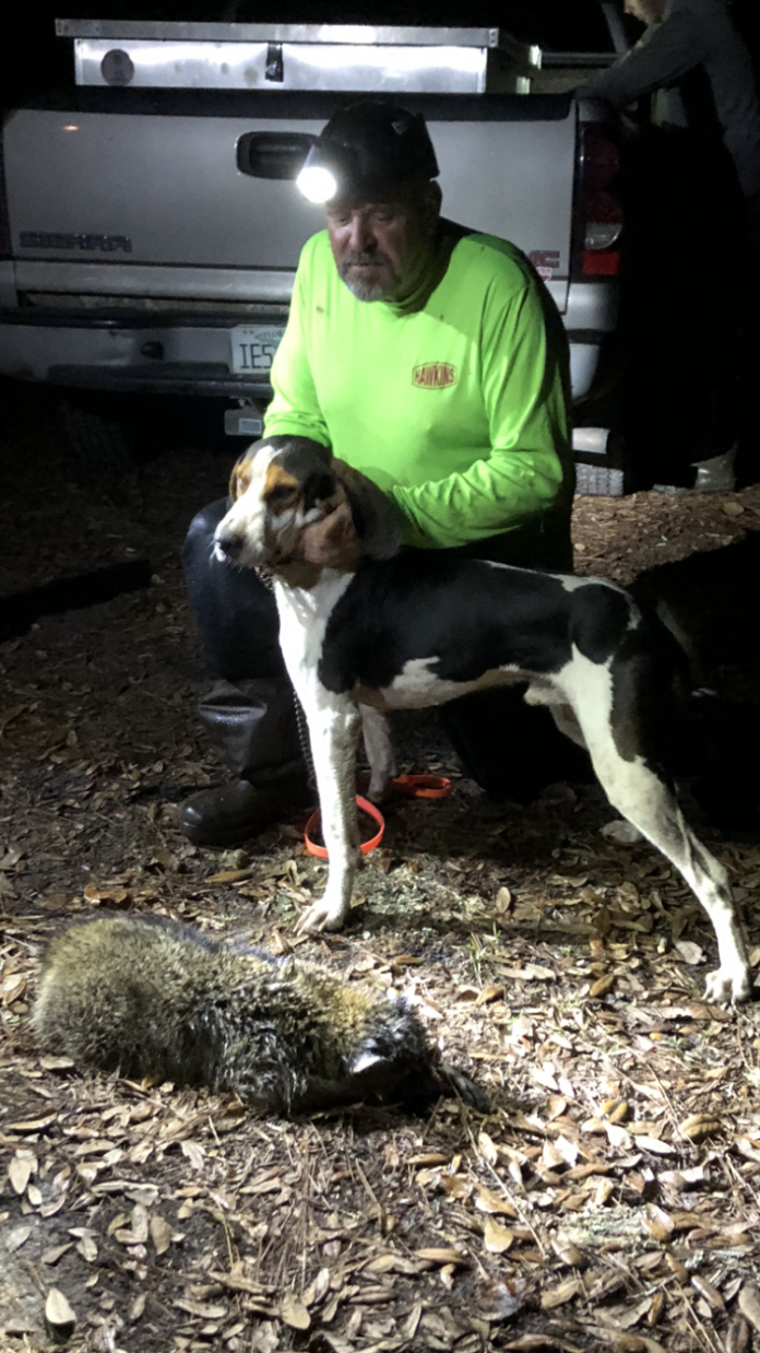 Mister Tom Bard of Croom with his hound Chance, of Sawgrass Kennels and a large boar coon ready for the kitchen