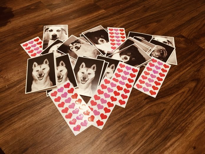 Rescue-dog cards