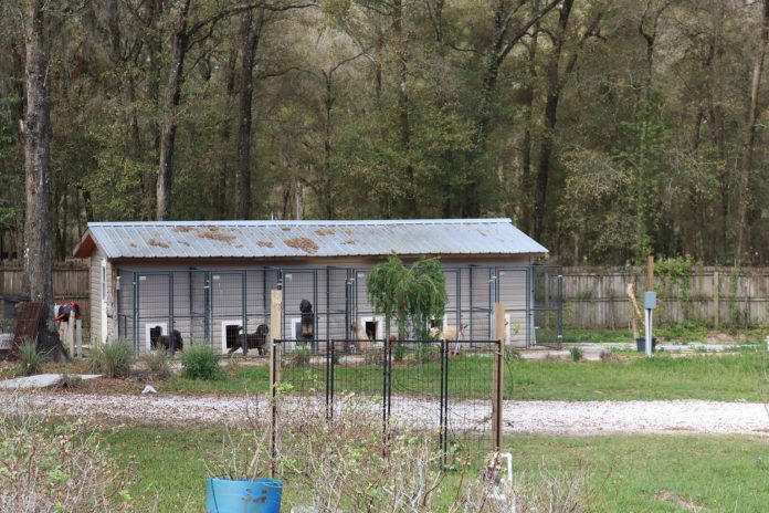 Golden Kennel on Weatherly Road. Photos courtesy of the Hernando County Sheriff’s Office