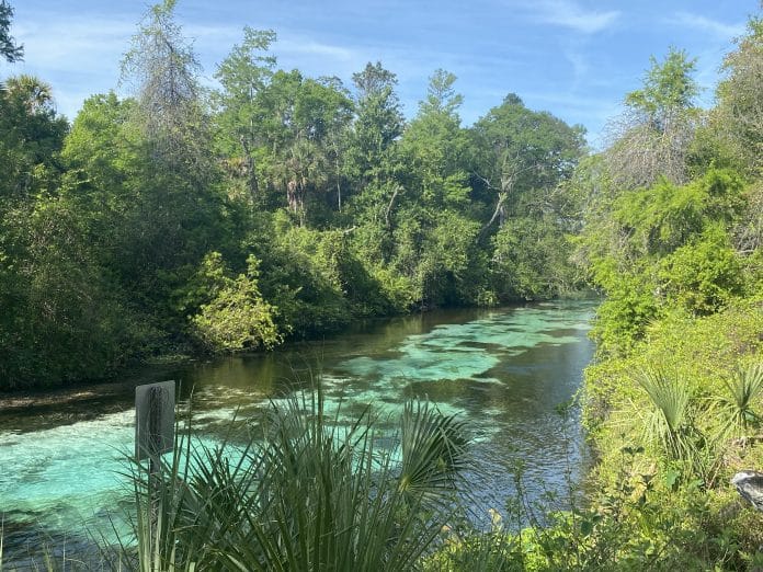 Weeki Wachee River