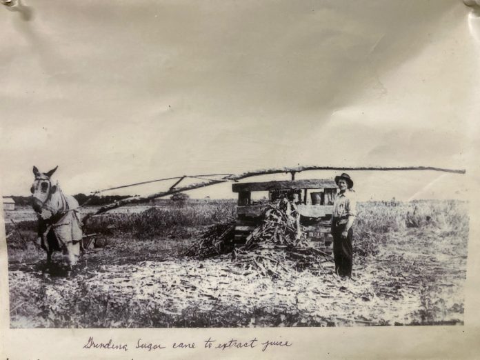 Sugar cane press