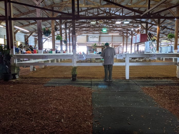 Hernando County Fairgrounds Arena where the livestock shows take place. Photo by Lisa MacNeil, Hernando Sun.