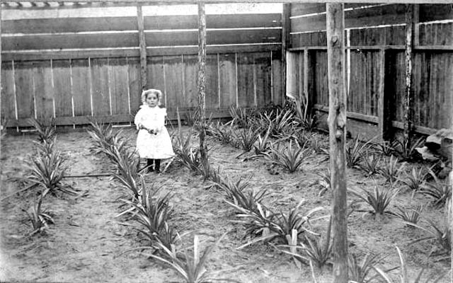 The photo is of Sally Burwell in 1899. The notes in Florida Memories says that Sally’s father had just put in an irrigation system