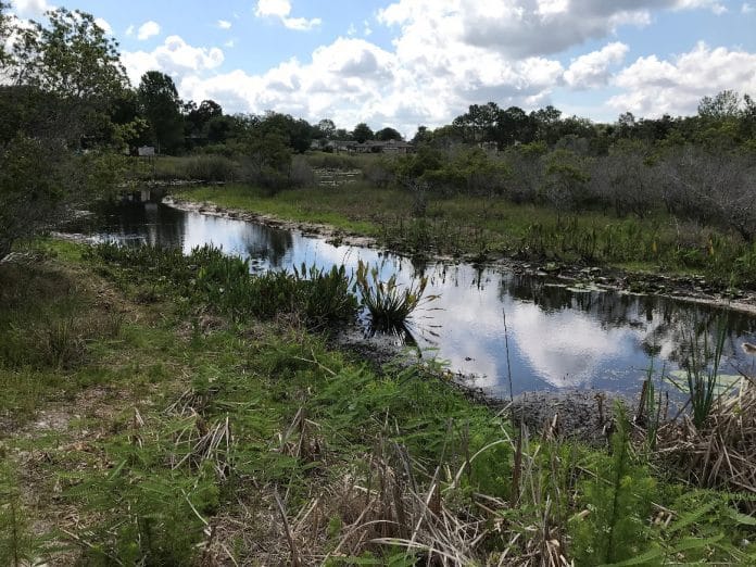 Hunters Lake - Hernando County Government's Photo