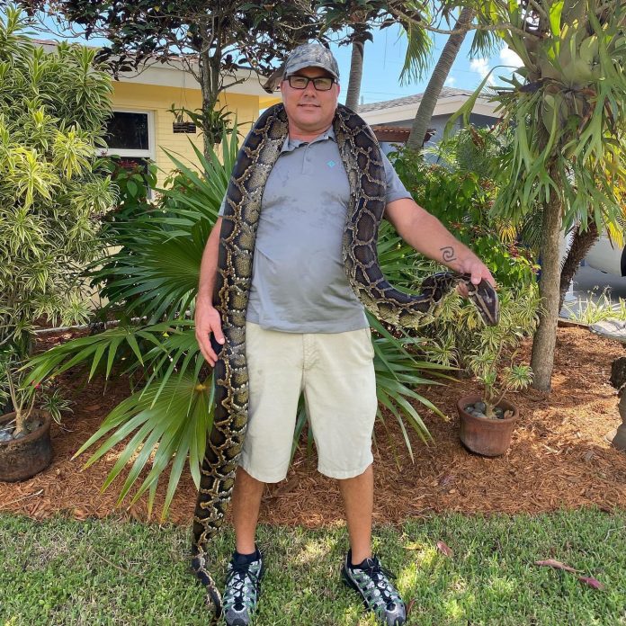 A friend and mentor of Toby's, Mickey Looker, with just under thirteen feet of wild, Fl Burmese python.
