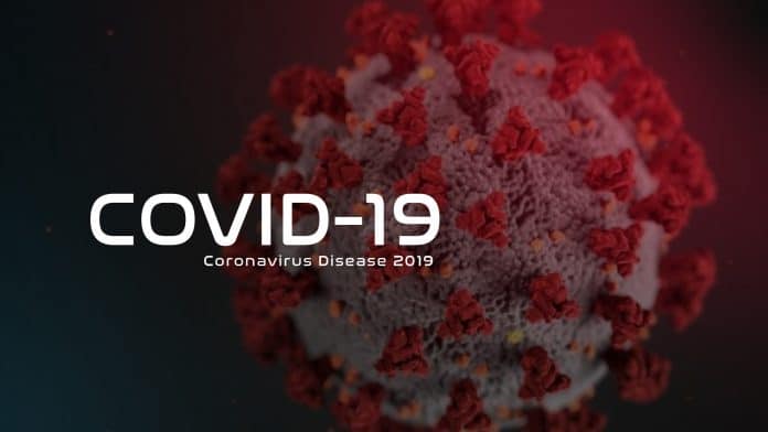 Computer graphic of the novel coronavirus that causes COVID-19