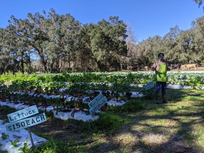 JG Ranch in Brooksville