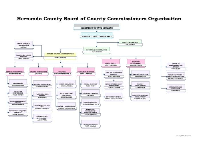 County Government Restructuring Chart