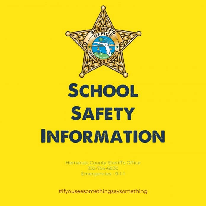 School Safety Infographic