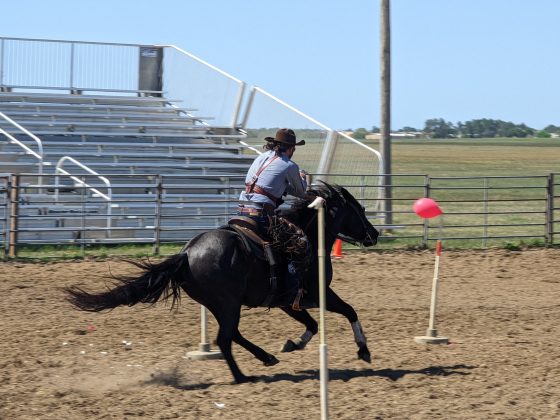 Cowboy Mounted Shooting at FAWE 2022.