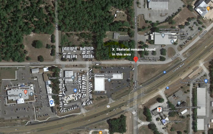 Skeletal remains found in Brooksville empty lot on Horn Ave and Winter Street