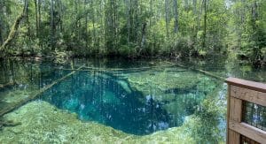 Buford Springs Dive Site