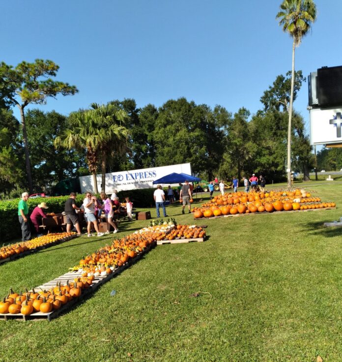 Brooksville Pumpkin Patch