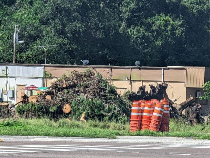 Southwest corner of Cobb Rd and SR 50 intersection. Photo by Rocco Maglio.