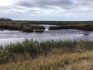 Pine Island on the afternoon of November 9, 2022