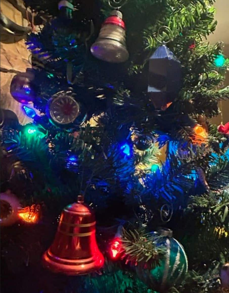 These Shiny Brite ornaments are on my tree this year and are from my family’s collection. It’s hard to pick a favorite! Photo by Judy Warnock.