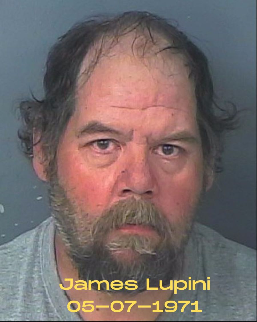 51-year-old James Lupini arrested on drug possession and trafficking charges. Photo courtesy of HCSO.