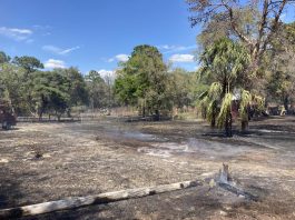 Brush fire on Seely Ln - Photo courtesy of HCFR 3/21/23