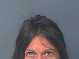 Breanne wendy lucey accused child kidnapper