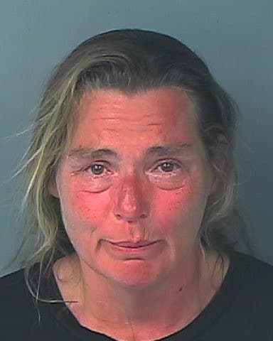 ADAMS, KELLY COLLEEN  – 2023-19677/1