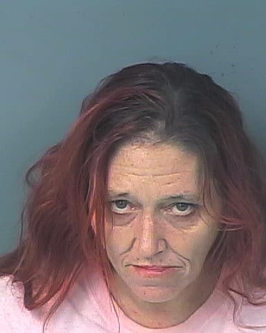GUARINI, NICOLE LEIGH  – 2023-19434/1