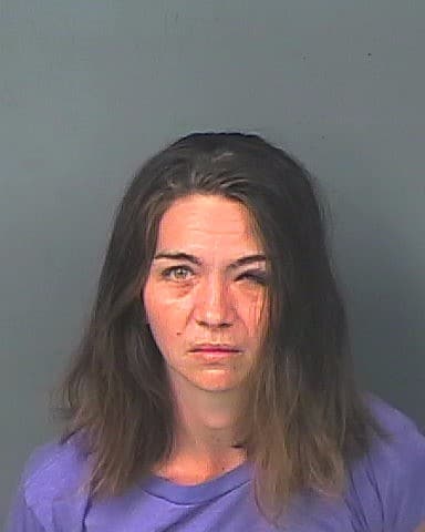 MEADOWS, NICHOLE RENEE  – 2023-21122/2