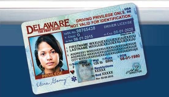 DRIVER'S LICENSES FOR UNDOCUMENTED IMMIGRANTS