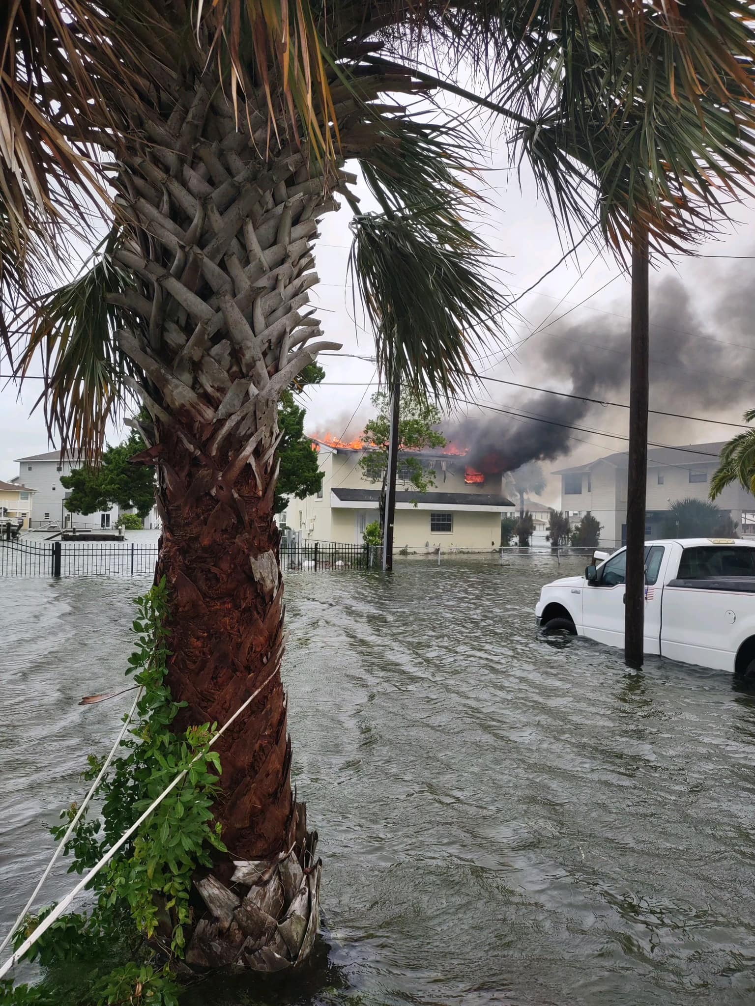 Heavy rain, tropical storm winds from Idalia pelt Bulloch