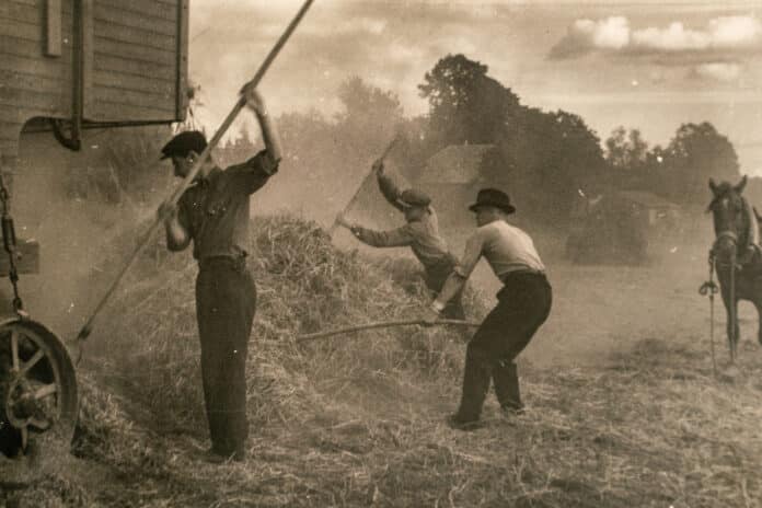 Latvia - CIRCA 1920s: Steam engine with thresher. Photo of farmers working on field. Archive vintage black and white photography. By CupOfSpring