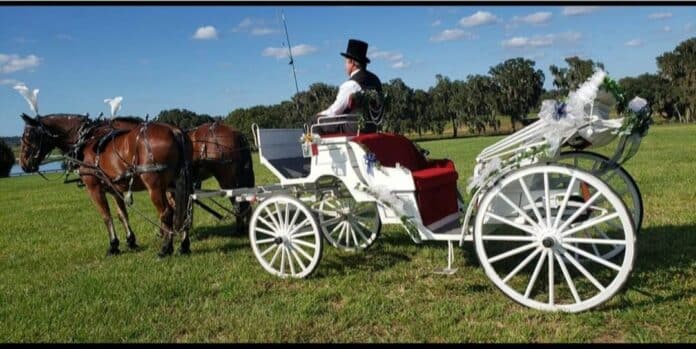 Country Depot Valentine's Day Carriage Ride. [Courtesy photo]