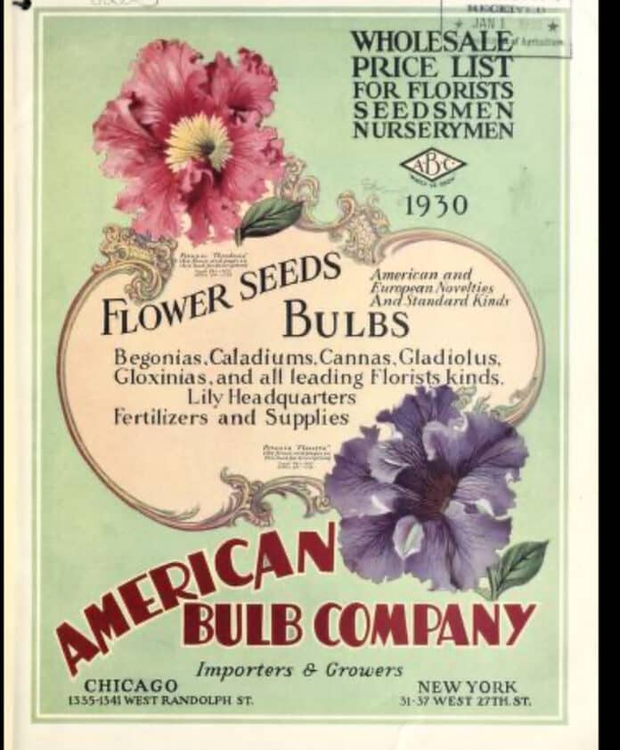 American Bulb Catalog 1930. [Public domain photo]