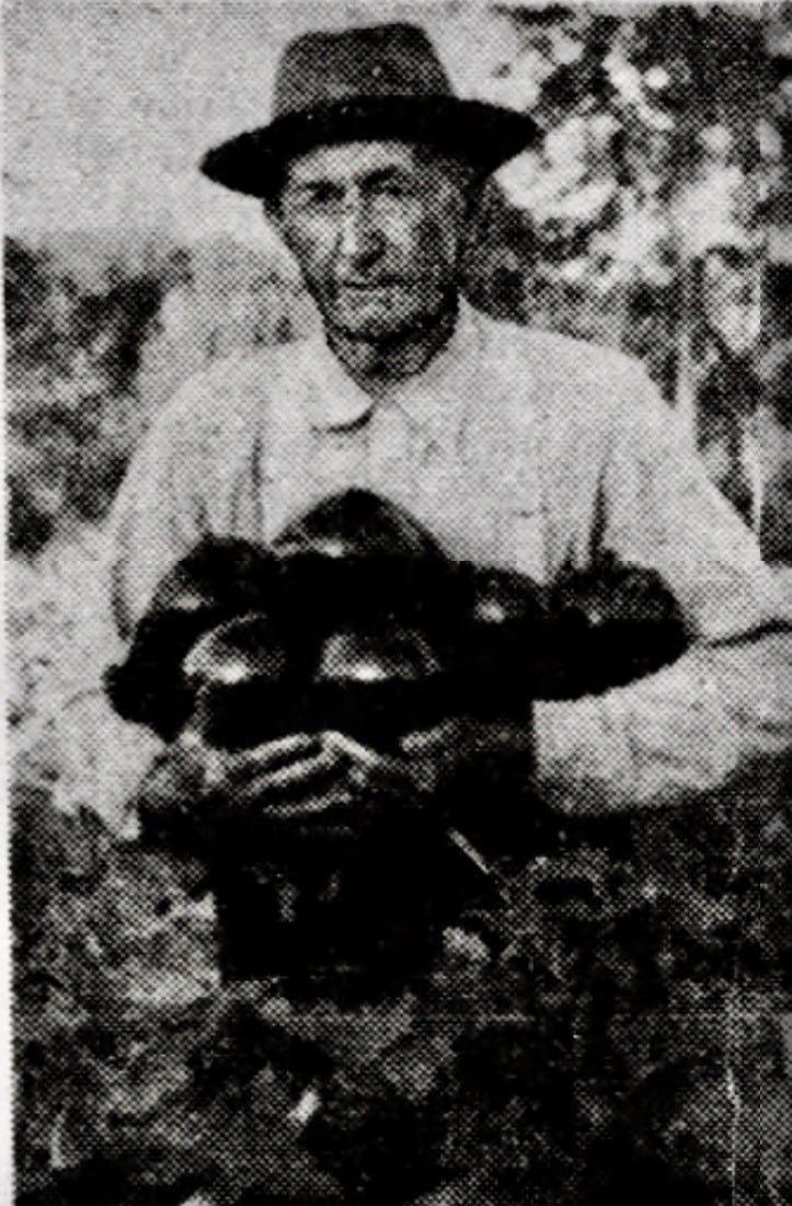Eggplanter J.T. Daniel as published in the December 21, 1947 Tampa Sunday Tribune. J. T. Daniel had no interest in retiring and was still proudly farming at age 70!