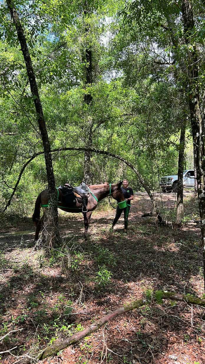 Martha the Mule and Taylor Leigh united after Martha's 96-hour adventure. Photo courtesty of James Higgs.