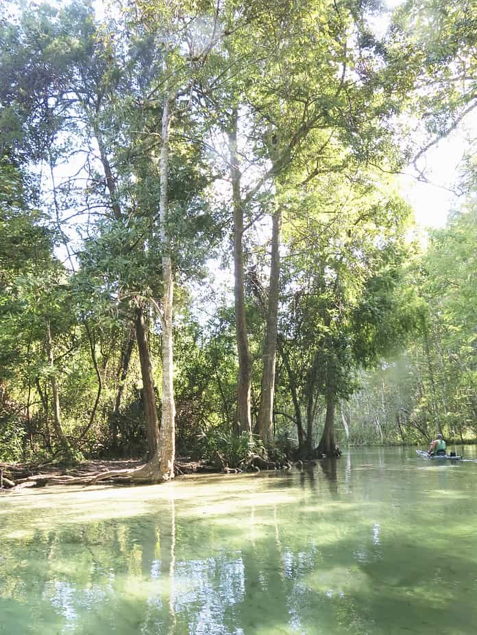 The Weeki Wachee River [Credit:Robert Stein]