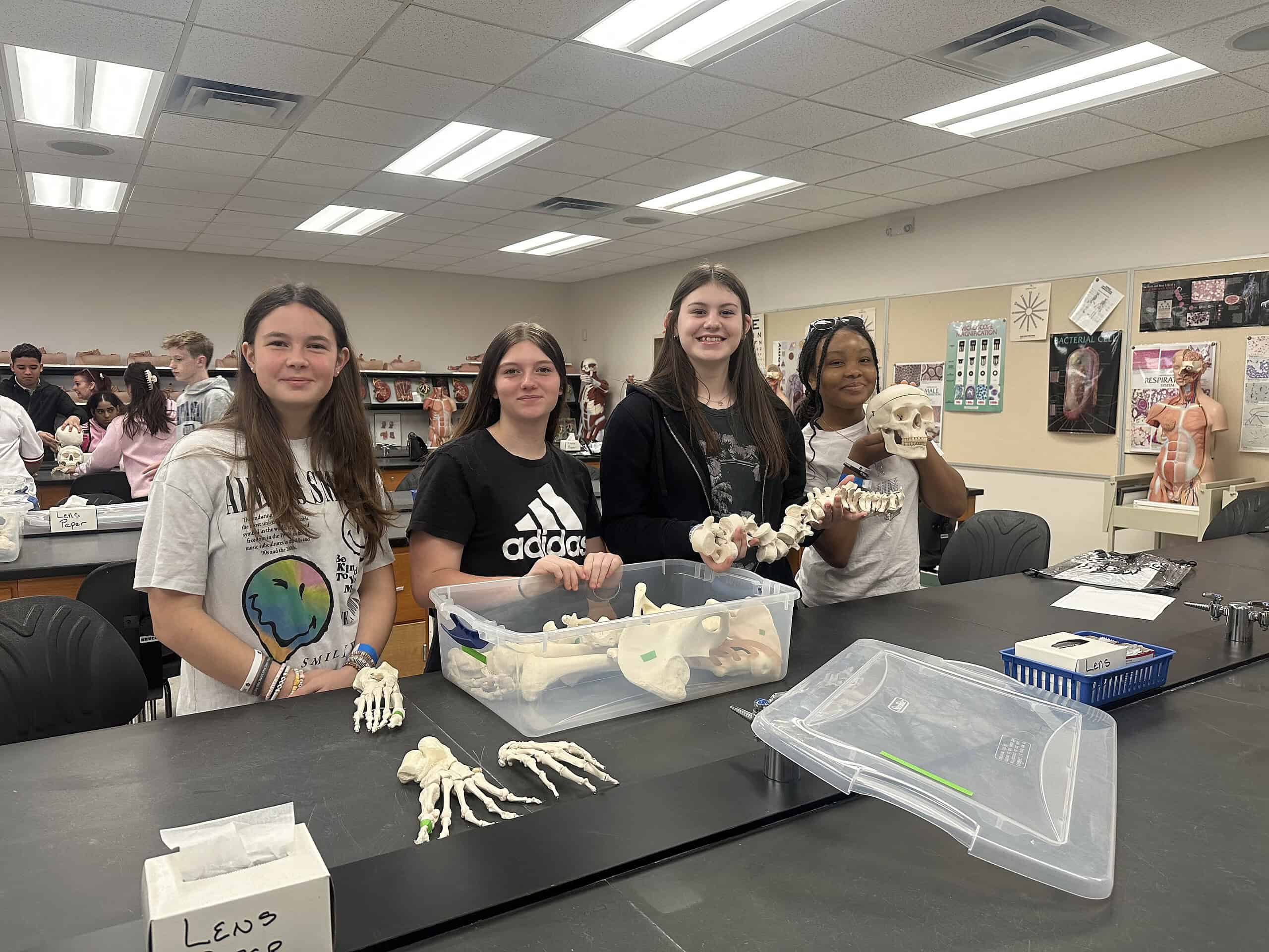 Fox Chapel students putting together a replica of a human skeleton. [Photo by Summer Hampton]
