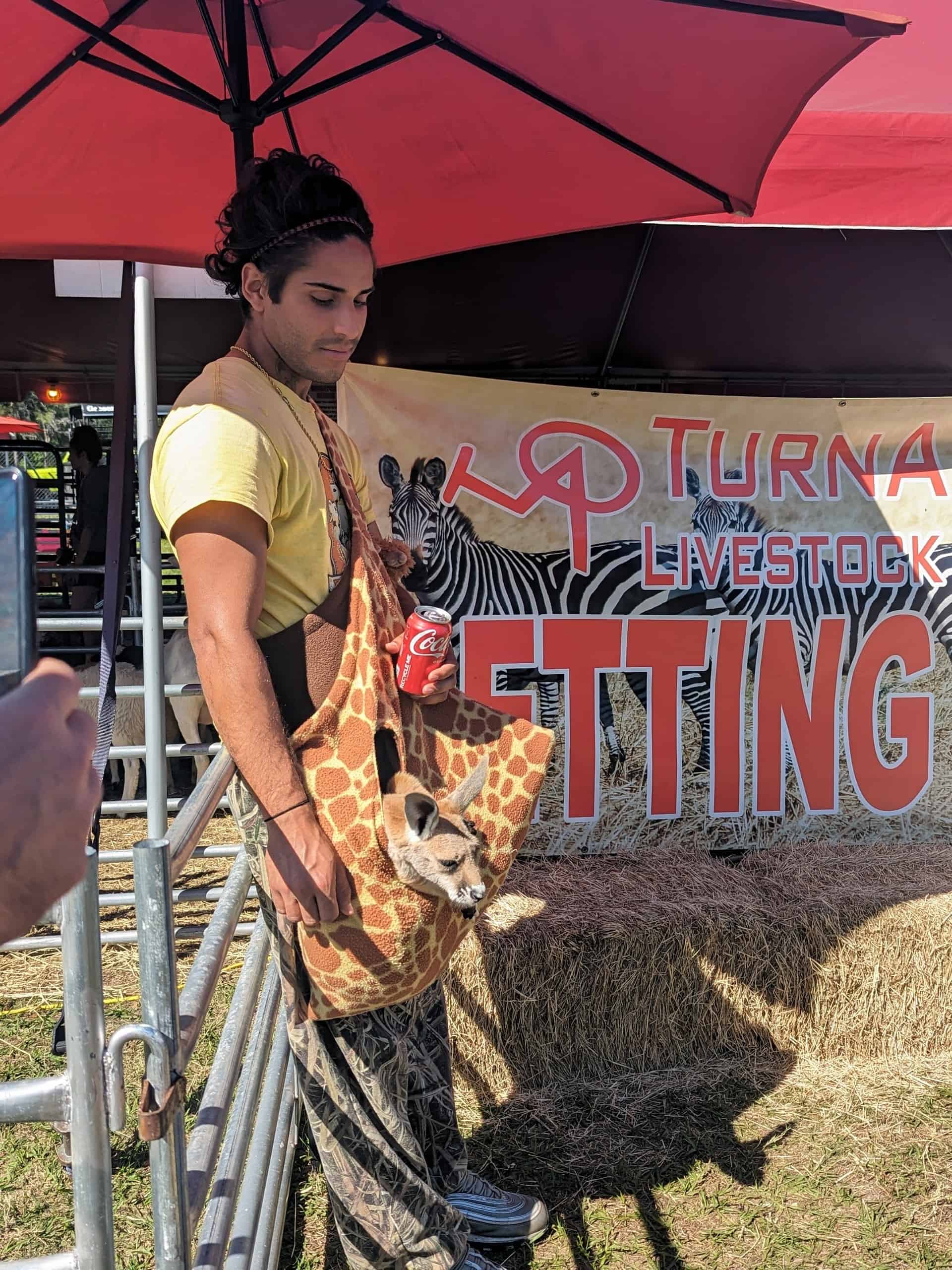 Baby kangaroo at the Hernando County fair