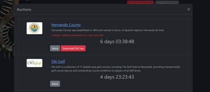 County Ransomware Auction