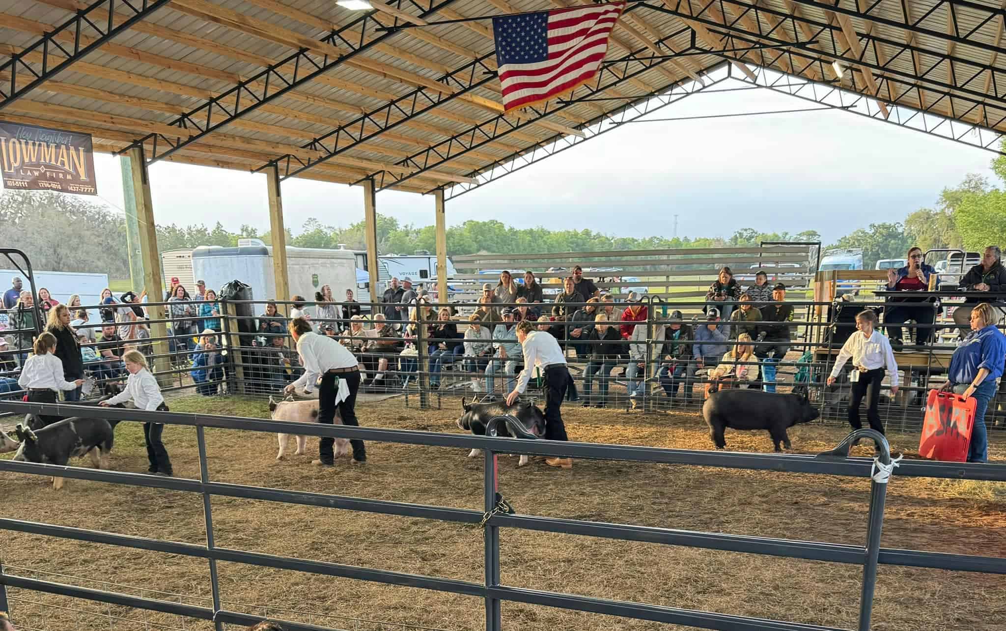 Youth working their swine during the show. [Courtesy photo, FAWE]