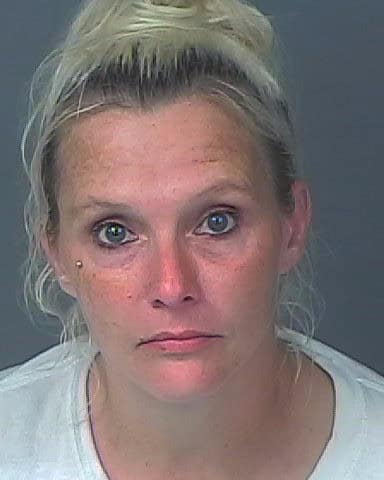 Booking Photo of Heather Gillespie [Credit: HCSO]