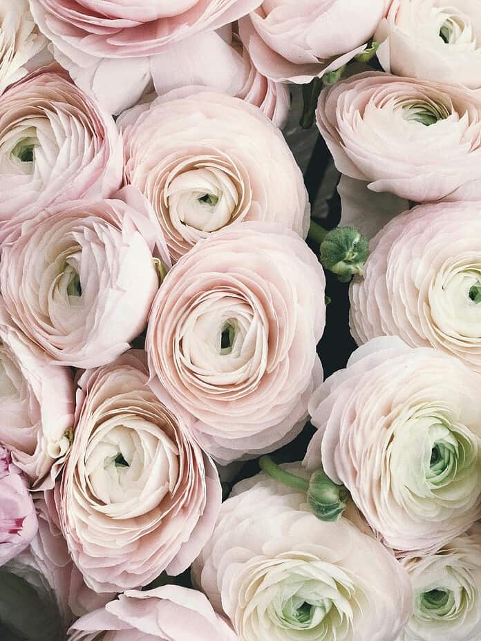 [Photo by Secret Garden on Pexels]