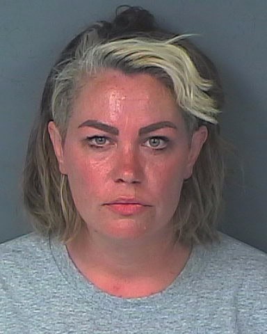 Booking Photo of Amanda Dillon [Credit: HCSO]
