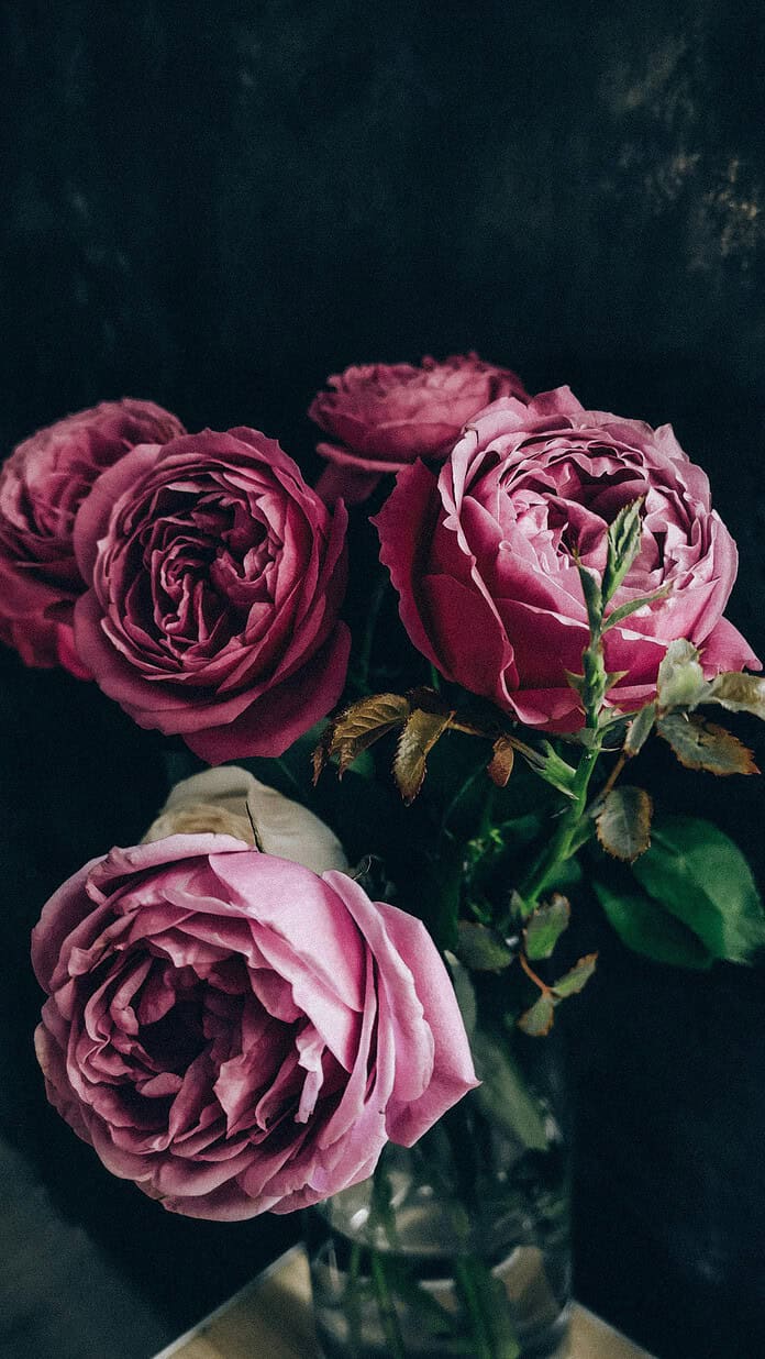 [Photo by Rikonavt on Pexels]