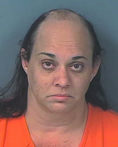 Booking Photo of Dorcaliz Ramos Garcia [Credit: HCSO]