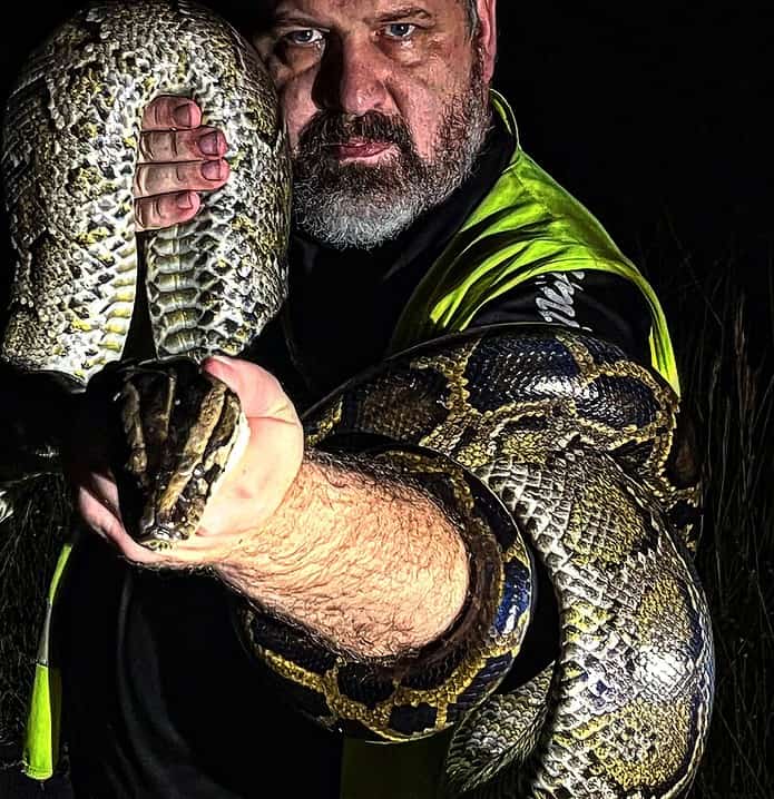 Matthew Kogo of the FWC Python Eradication Team with an Everglades python. [Courtesy photo]