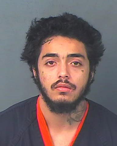 GONSALVES, ADRIAN JAMES JR
                                 – 202500179117/1