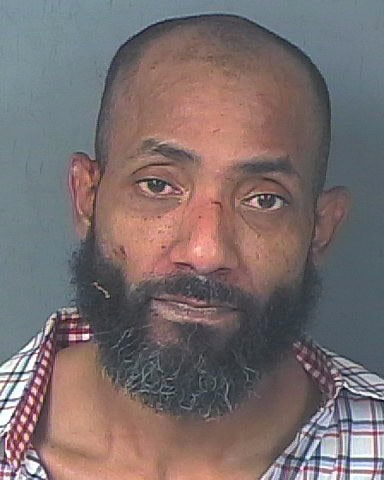 WAKEFIELD, ALBERTO ANDRE
                                 – 202500172848/1