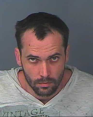 MIZELL, ANDREW KENDALL
                                
                                 – 202500192568/1