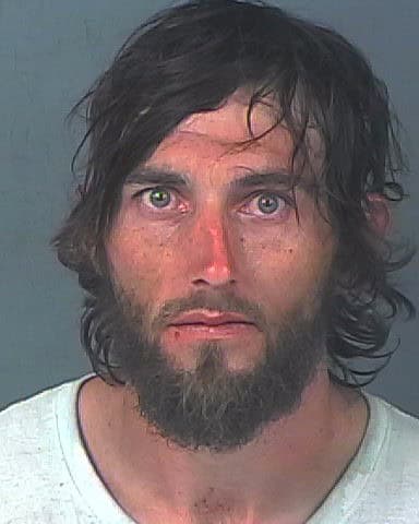 POE, CHARLES WAYNE Jr
                                
                                 – 202500181829/1
