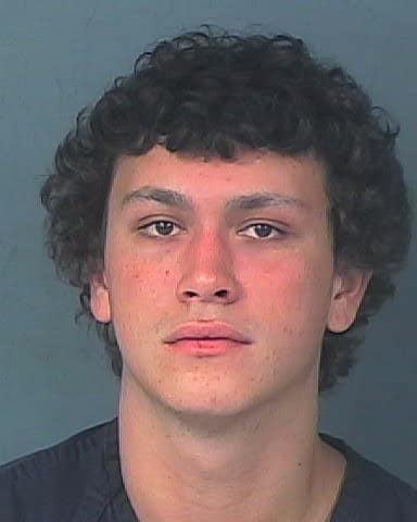 HEINZ, CHRISTIAN PAUL
                                
                                 – 202500178825/1