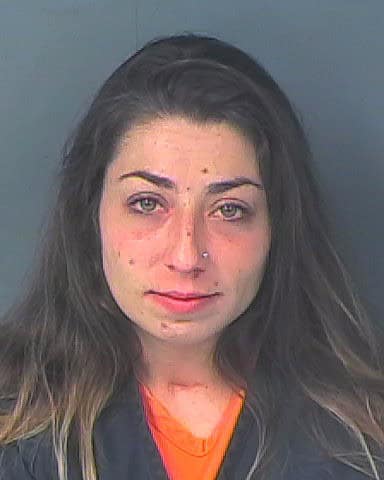 HANKINS, GIANNA
                                
                                 – 202500172239/1